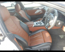 BMW 8 Series 2020