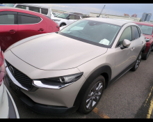 Mazda CX 30 2022