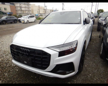 Audi Q8 2020