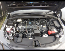 Toyota Corolla Sports 2022