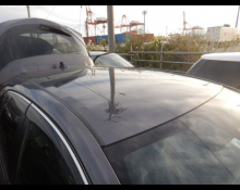 Toyota Corolla Sports 2022