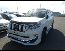 Toyota Land Cruiser Prado 2019