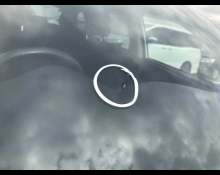 Toyota Corolla Fielder 2019