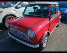Rover Mini 1993