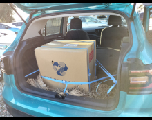 Volkswagen T-Cross 2020