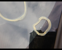 Toyota Corolla Cross 2024