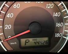 Toyota Corolla Fielder 2009