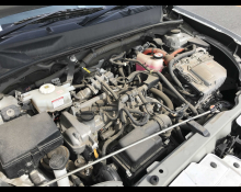 Toyota Probox Van 2019