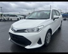 Toyota Corolla Axio 2019