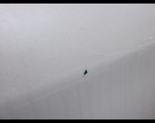 Toyota Corolla Axio 2018