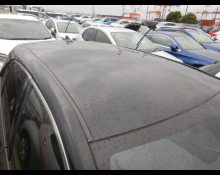 Toyota Corolla Sports 2023