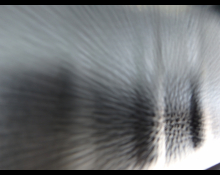 Toyota Yaris Cross 2021