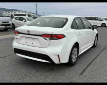 Toyota Corolla 2019