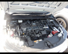 Toyota Corolla Sports 2021