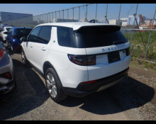 Land Rover Discovery Sport 2021