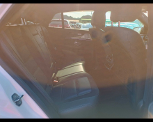 Mercedes Benz GLE-Class 2020