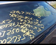 Toyota Land Cruiser 250 2024