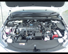 Toyota Corolla Sports 2024