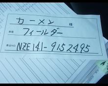 Toyota Corolla Fielder 2010