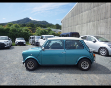 Rover Mini 1999