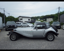 Panther Kallista 1988