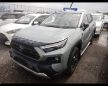Toyota RAV4 2022