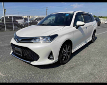Toyota Corolla Fielder 2019