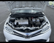 Toyota Corolla Axio 2019