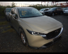 Used Japanese Cars For Sale At Best Price