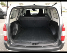 Toyota Succeed Wagon 2019