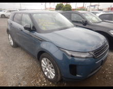 Used Rover Cars For Sale in Japan At Best Price
