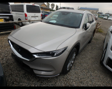 Mazda CX-8 2022