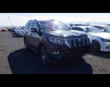 Toyota Land Cruiser Prado 2019
