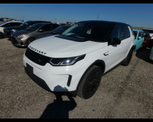 Land Rover Discovery Sport 2021