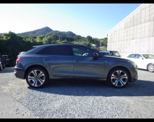 Audi Q8 2021