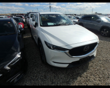 Used Japanese Cars For Sale At Best Price