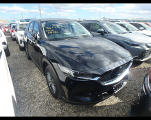 Used Japanese Cars For Sale At Best Price