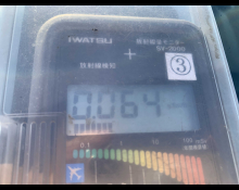 2022 to 2024 Used Cars For Sale In Japan