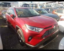 Used Toyota Rav4 Cars For Sale in Japan