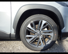 Toyota Corolla Cross 2021