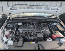 Toyota Corolla Wagon 2022