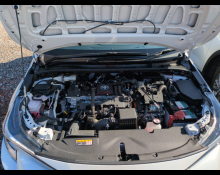 Toyota Corolla Sport 2023