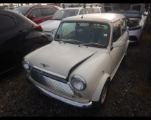 Rover Mini 1999