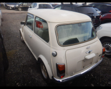 Rover Mini 1999