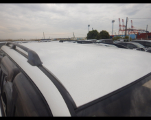 Toyota Land Cruiser 100 1999