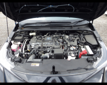Toyota Corolla Sport 2023