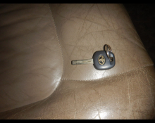 Toyota Land Cruiser 100 2001