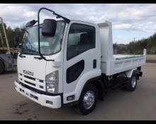 Isuzu Forward 2010