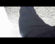 Toyota Corolla Fielder 2019