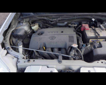 Toyota Succeed Wagon 2019